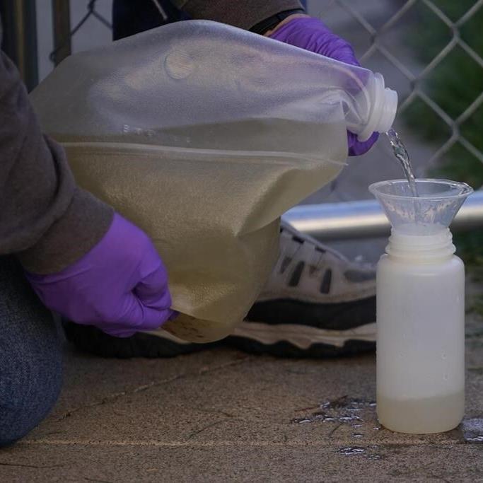 Wastewater tests can find mpox, study finds. Expect more bugs to be tracked that way